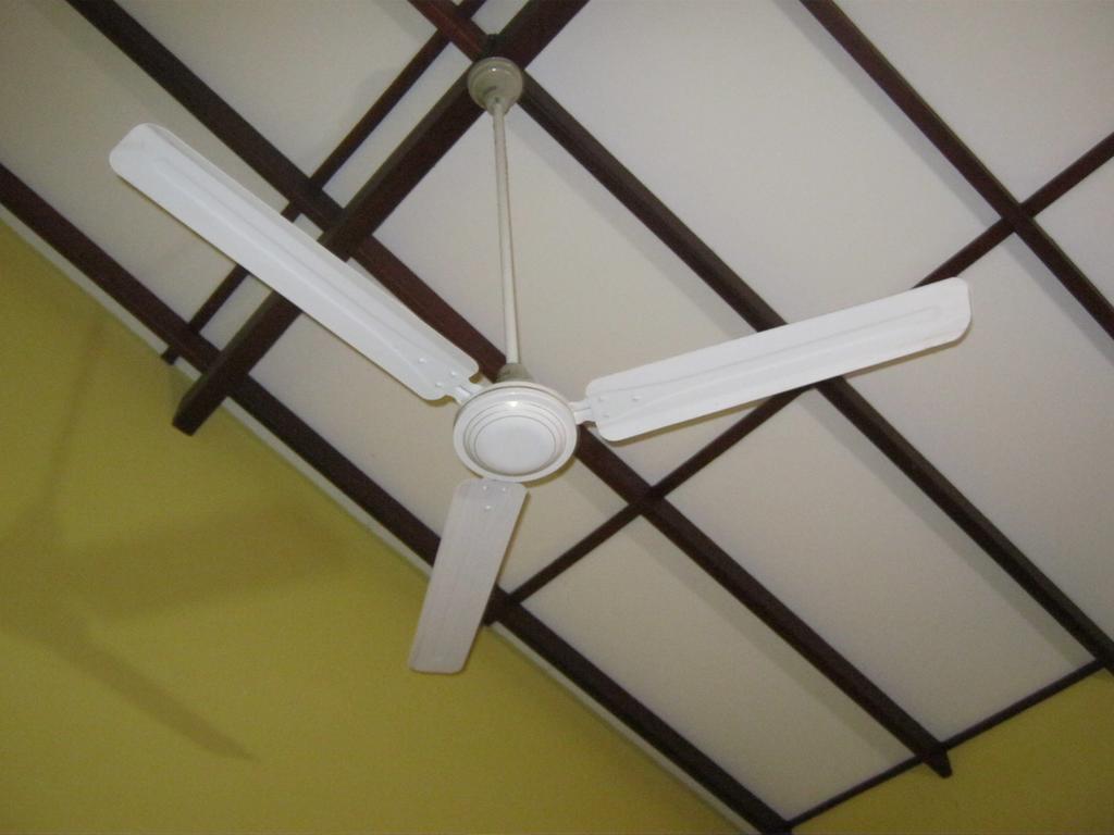 Aurora - Negombo Budget Hostel 객실 사진